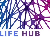Lifehub-лаборатория для подростков «Школа взрослой жизни»