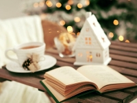 Рождественские чтения в литгостиной «Книжная среда»